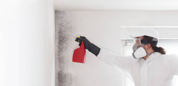 Best Mold Testing  in Morganton, NC